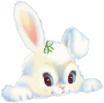lapin